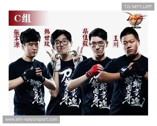 职业联赛的解说与分析团队