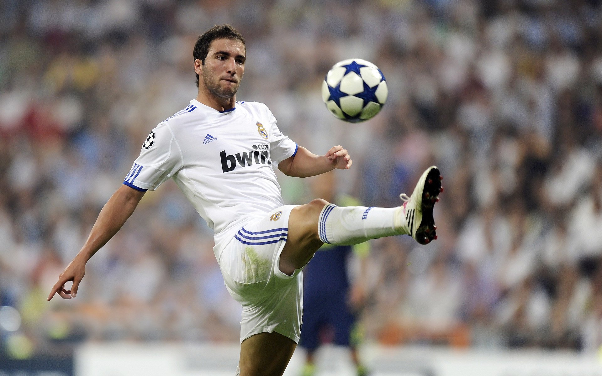 公牛队主场迎战强敌，奋勇拼搏，公牛队官方网站